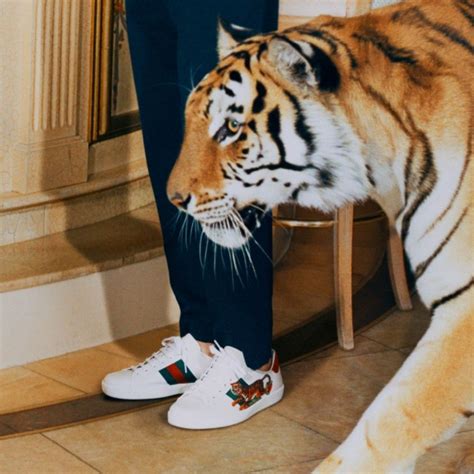 gucci shoes fur with tiger fake|gucci tiger collection.